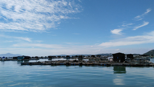 sea-farm-welding